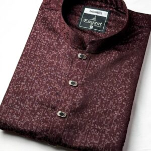 Luxury Panjabi(code-6)